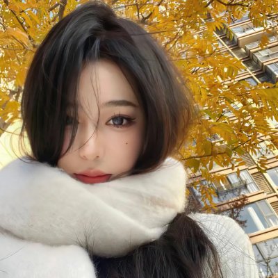 守法的盗贼